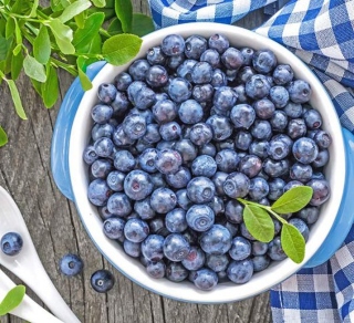 Heidelbeeren 320