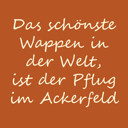 Text1