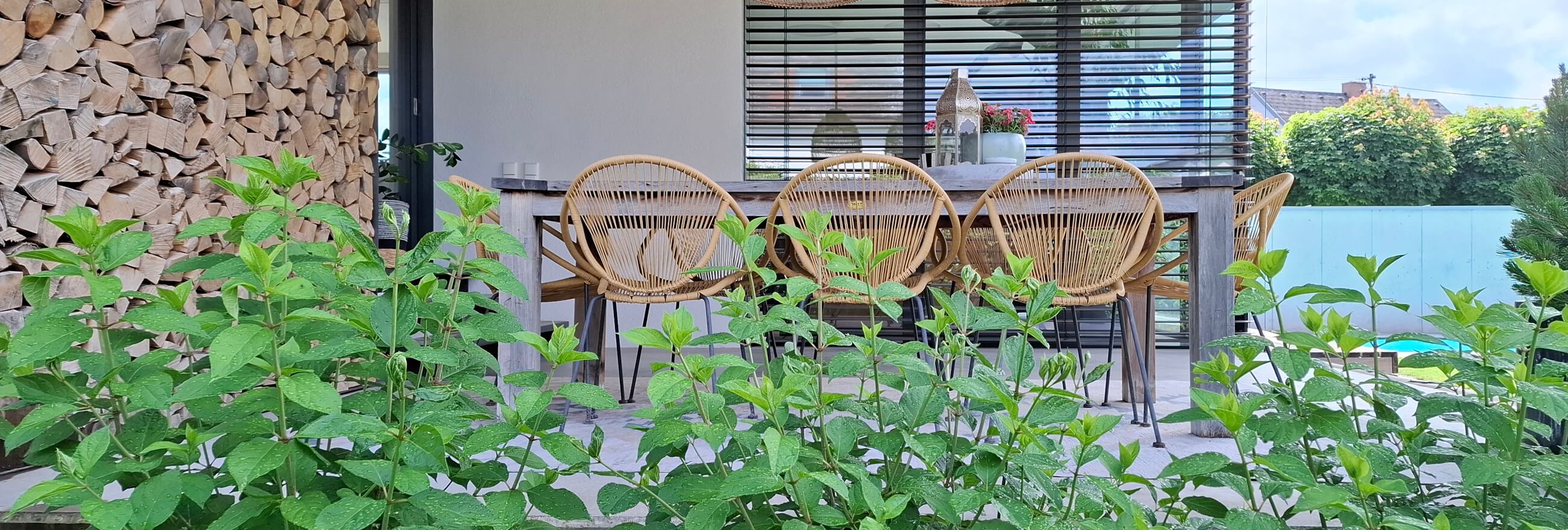 hausgarten_header_880