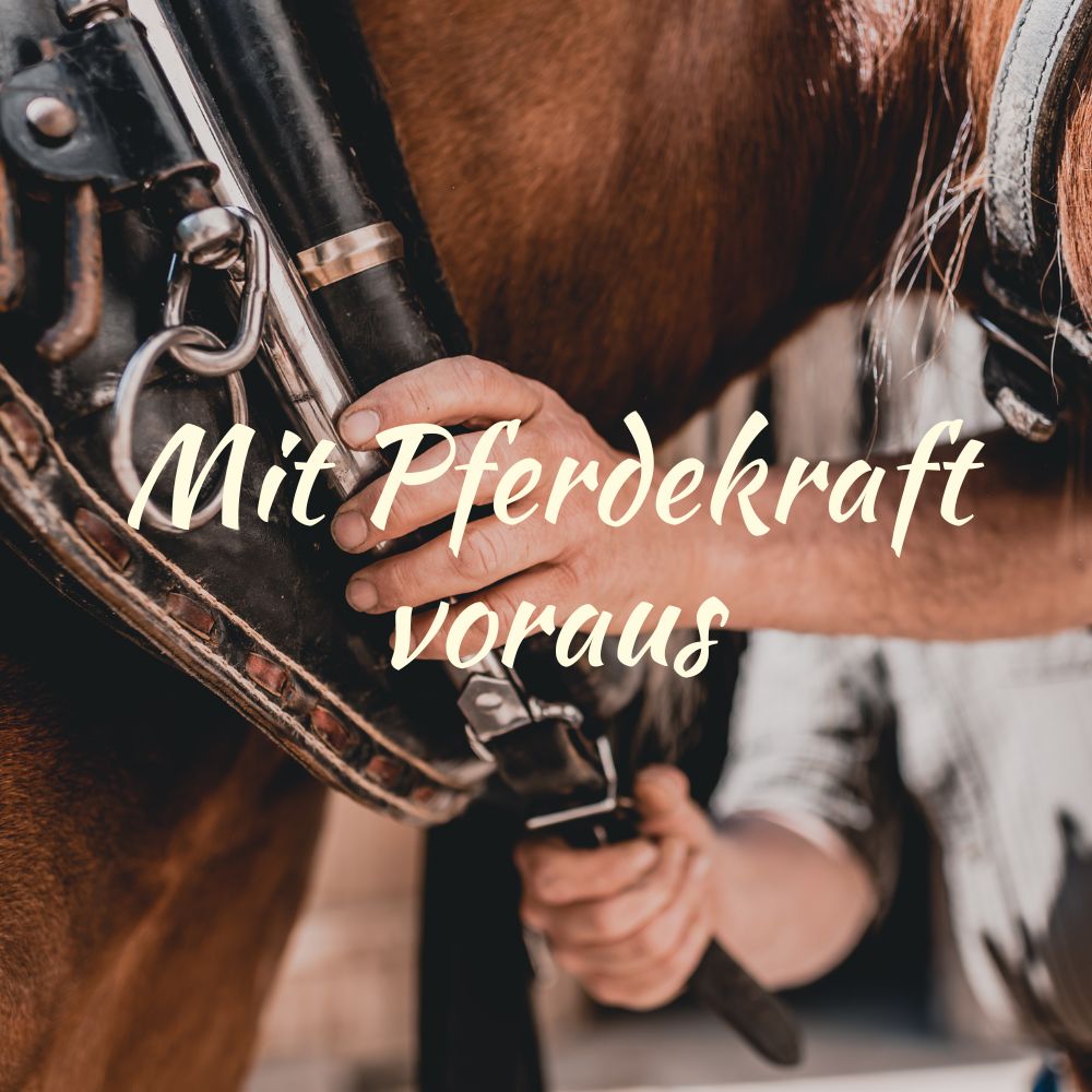 startseite_kachel_pferdekraftvoraus