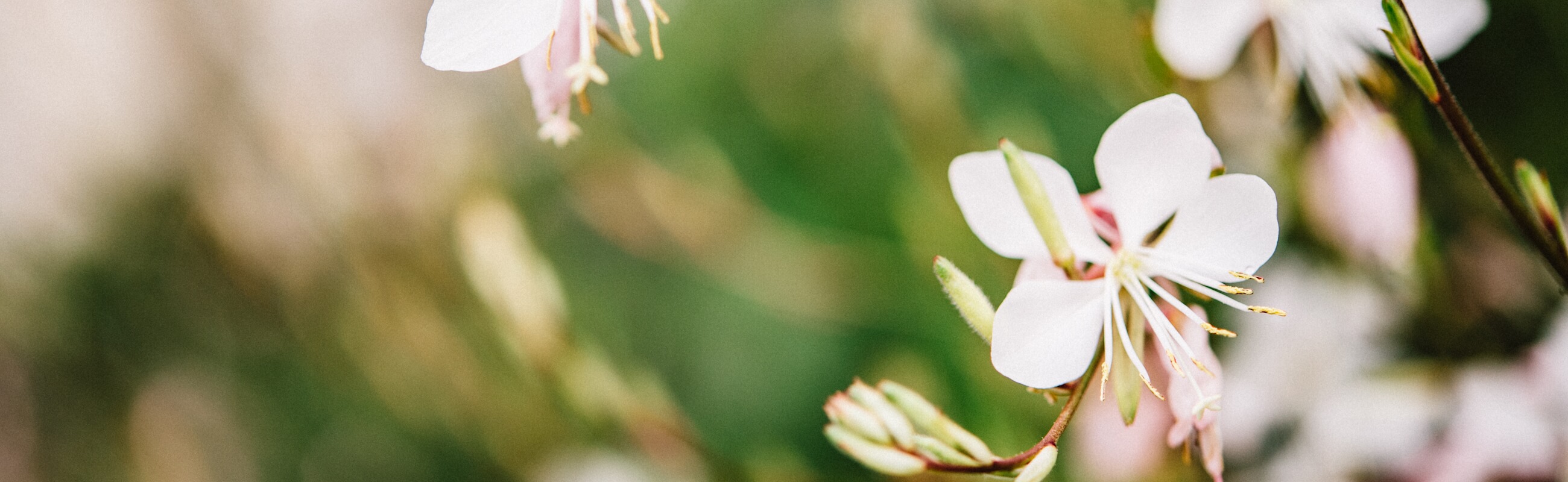 datenschutz_header(1)