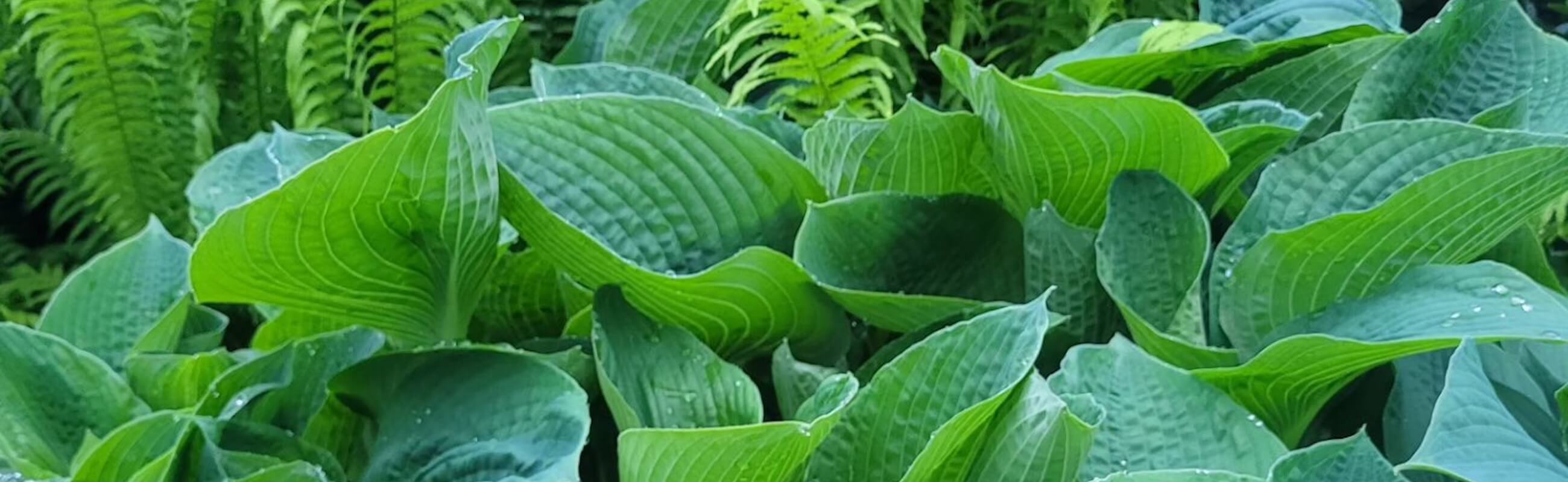 gemeinden_header(1)