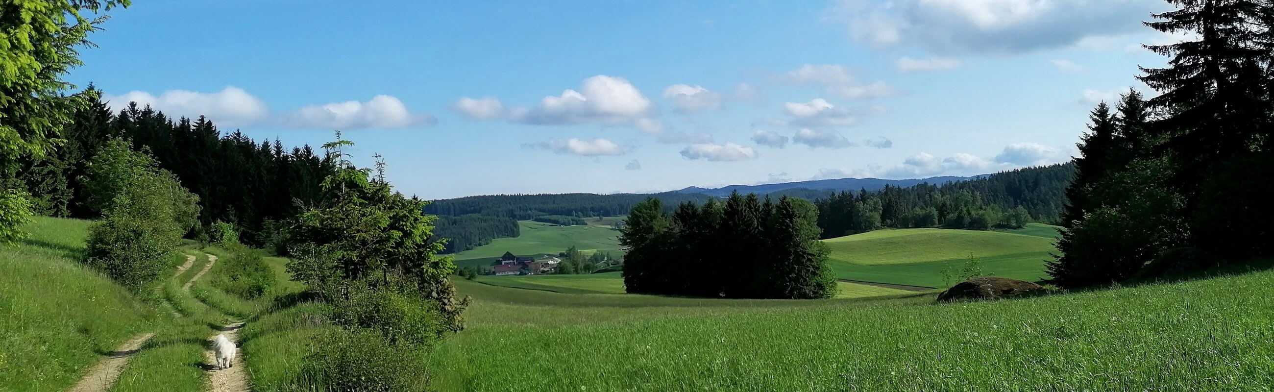 Fastentage Header1